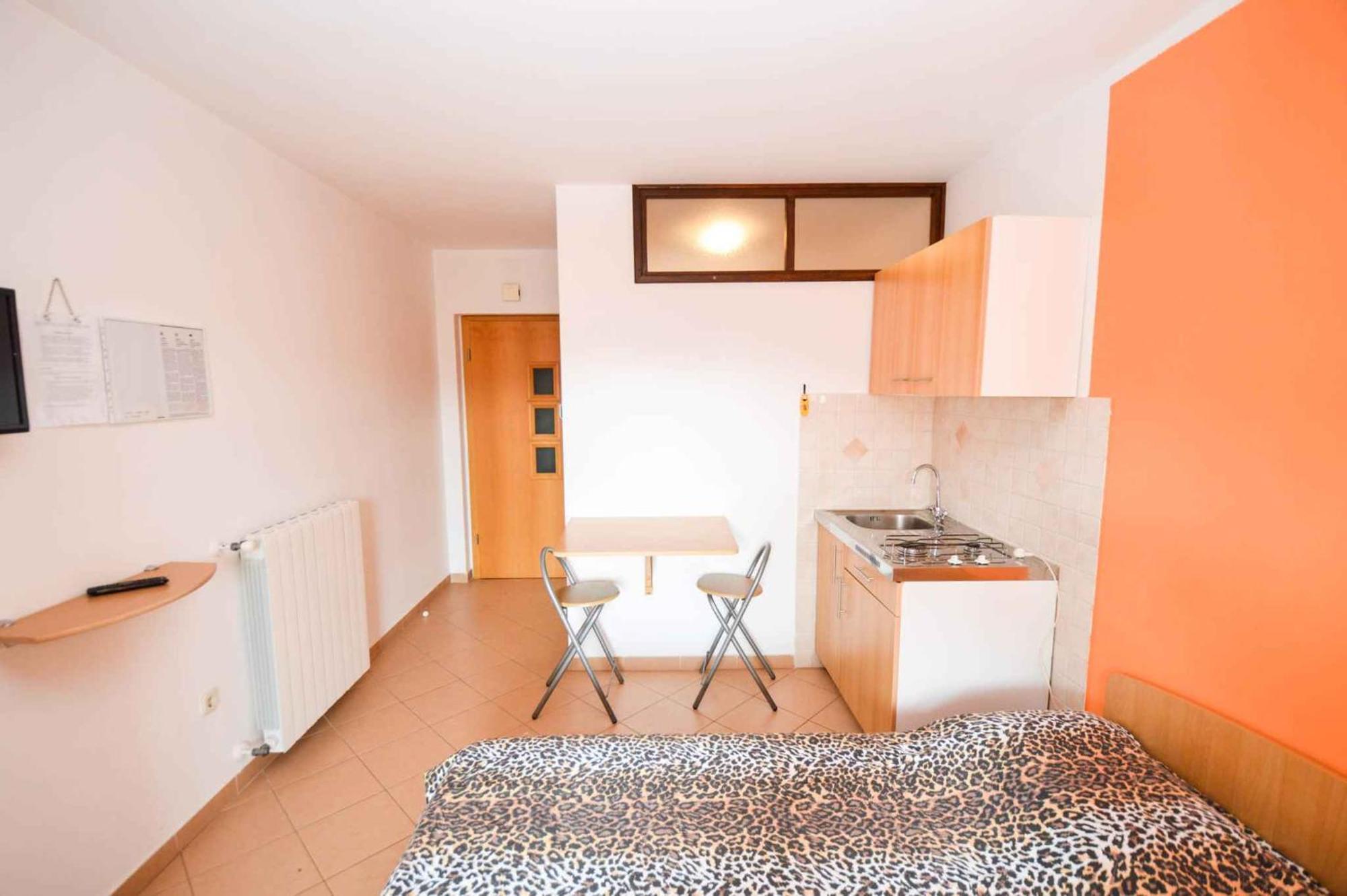 Apartment Stinjan, Istria 1 部屋 写真